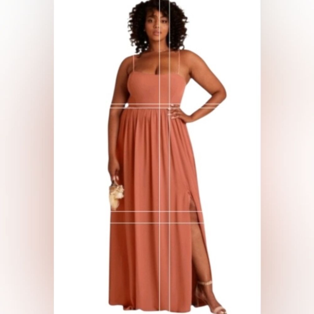 NEW birdy grey august chiffon maxi dress convertible terra cotta size S